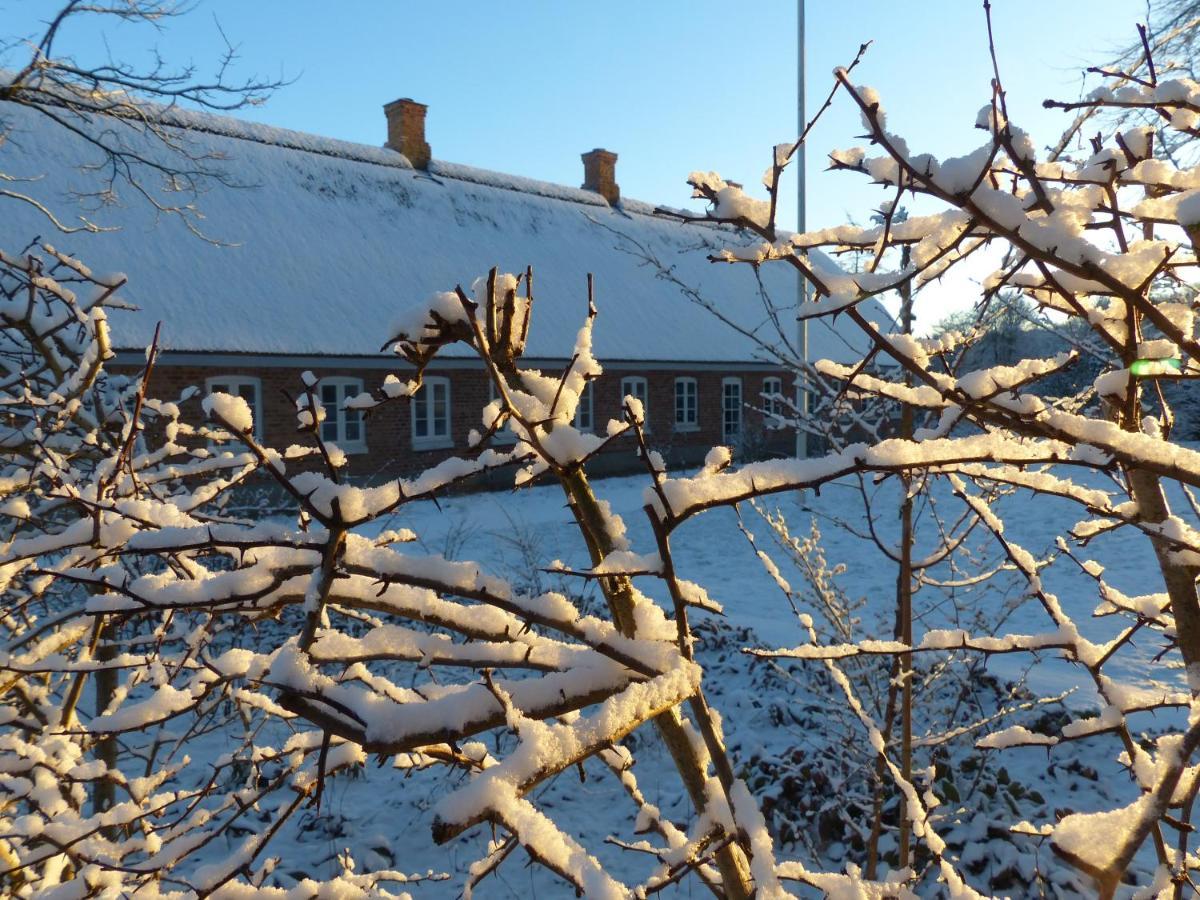Hesselhogaard Bed & Breakfast Grindsted Buitenkant foto