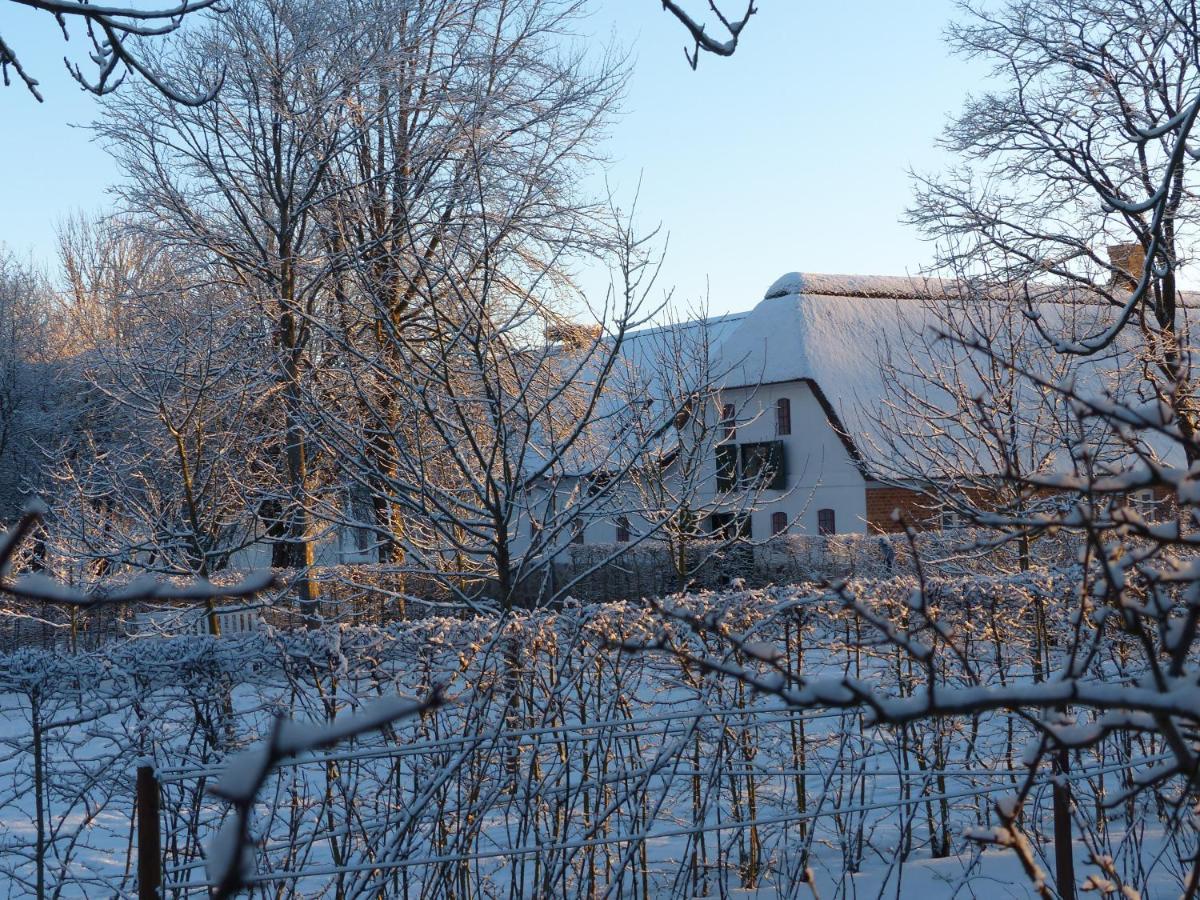 Hesselhogaard Bed & Breakfast Grindsted Buitenkant foto